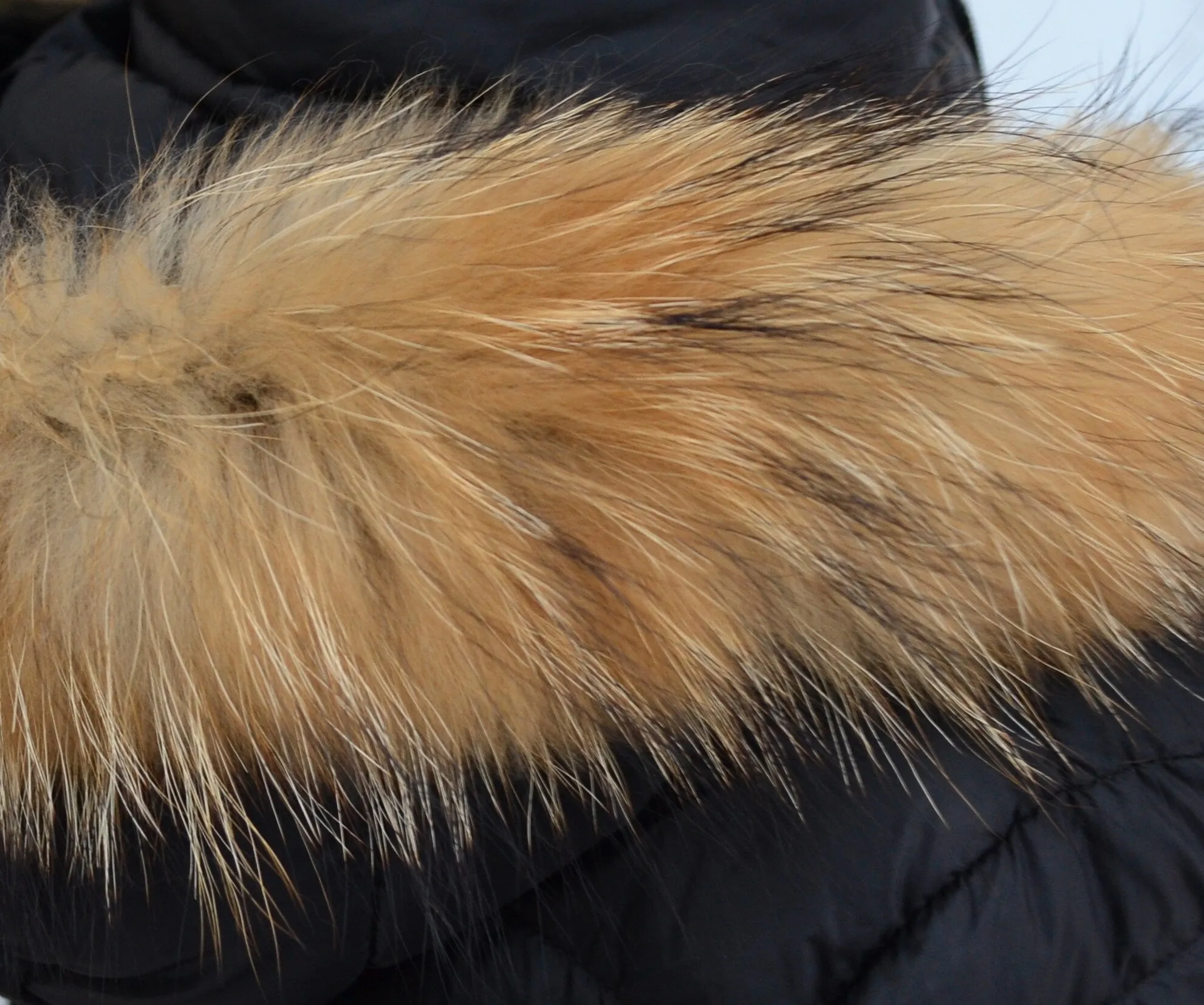 BY ORDER, 70 cm Real Raccoon Fur Collar, Fur Trim for Hoodies, Raccoon Fur Collar, Fur Scarf, Fur Ruff, Raccoon Fur Hood, Raccoon Fur