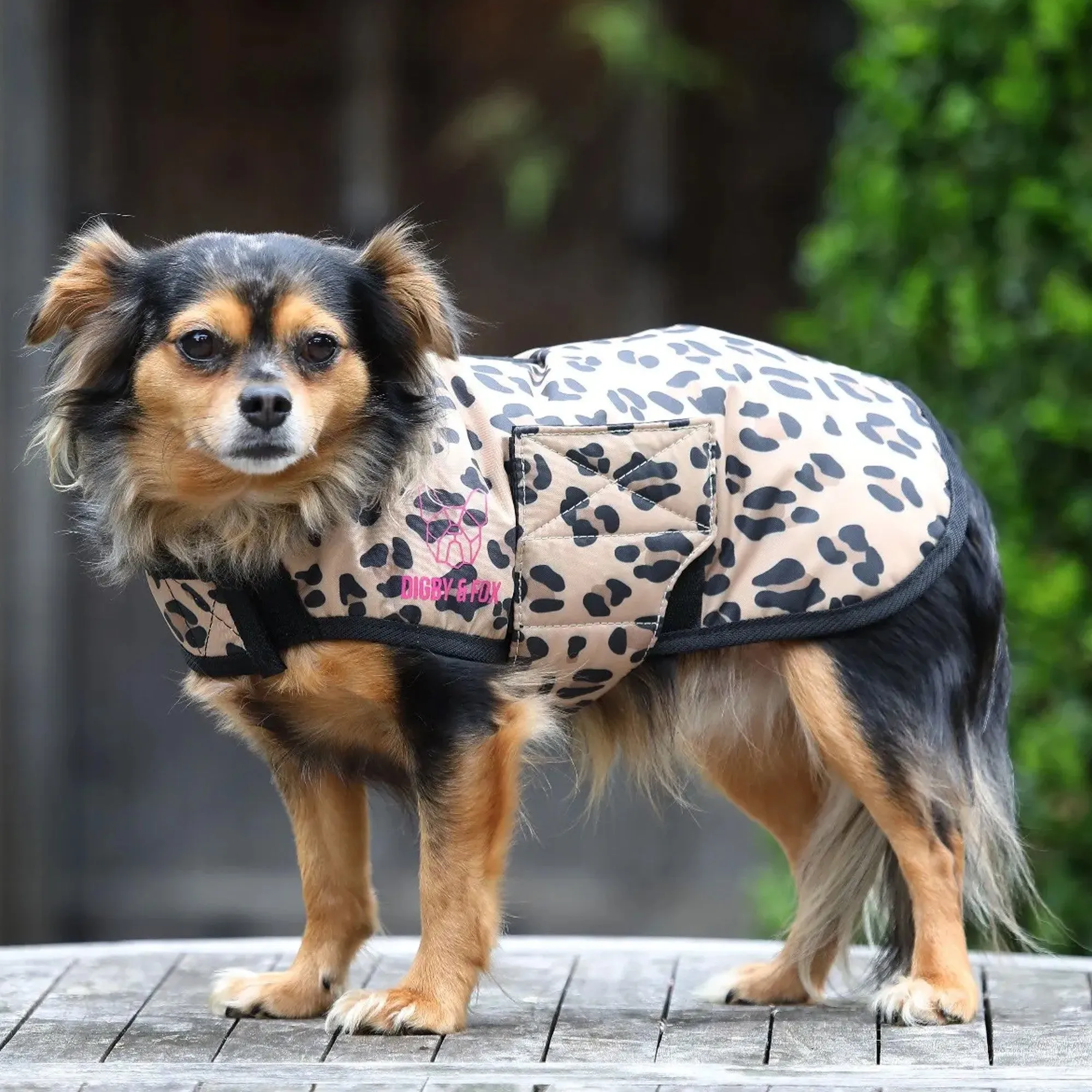 Digby & Fox Leopard Print Dog Coat