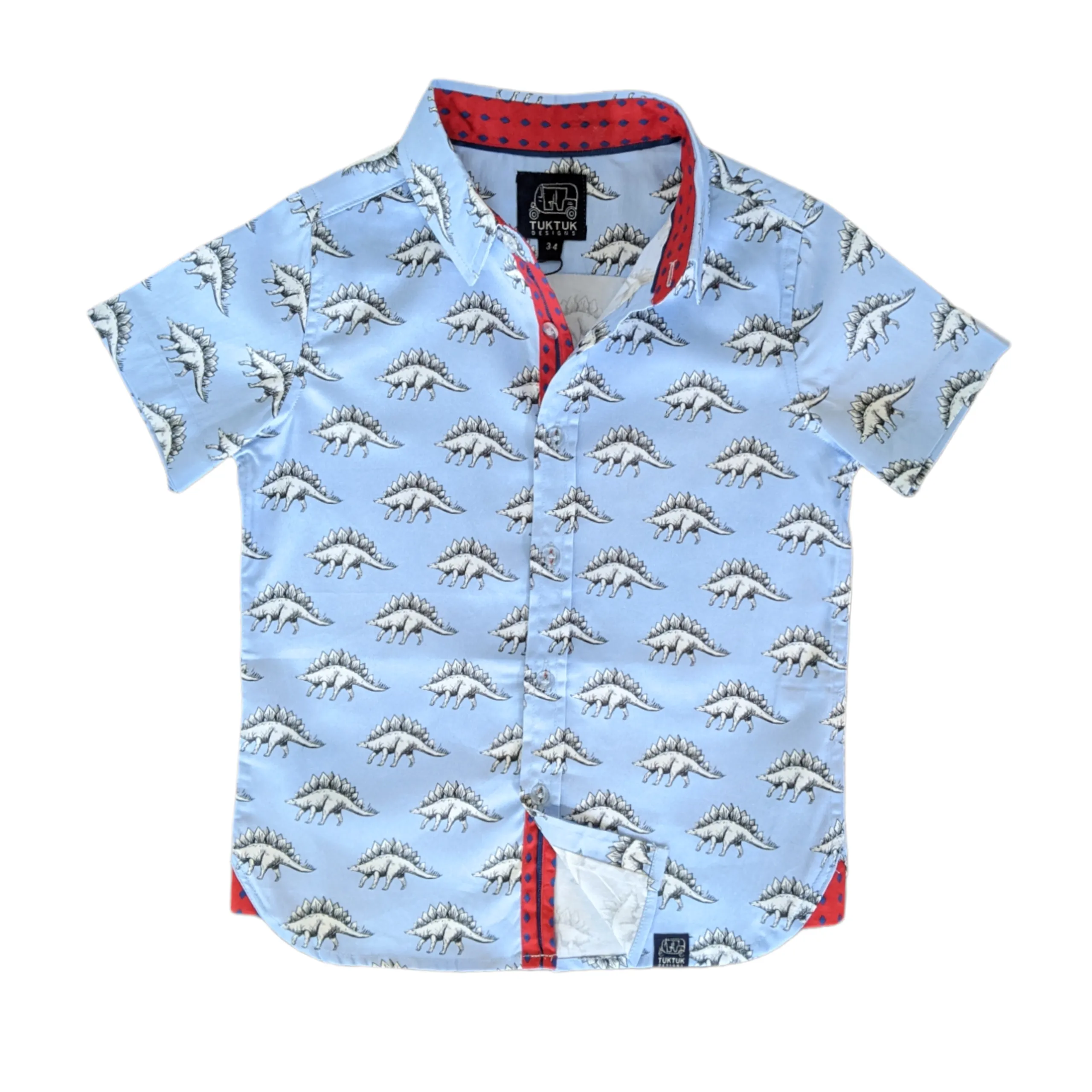 Dinos in Blue Shirt