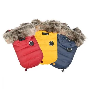 Hollis Dog Coat