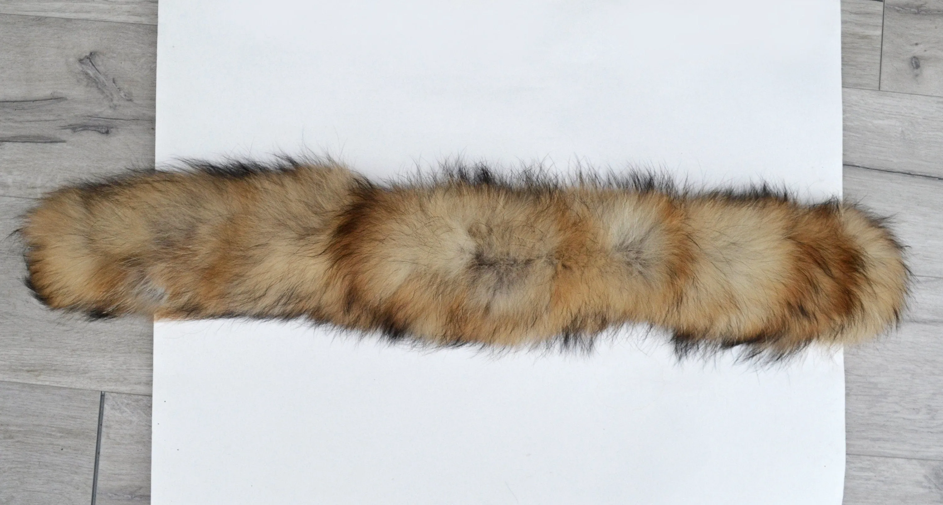 Large Real Raccoon Fur Trim, Collar for Hood (PIECES) of Natural Color, 80 cm